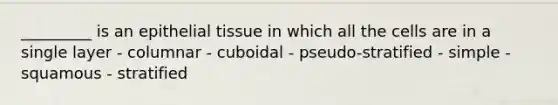 _________ is an epithelial tissue in which all the cells are in a single layer - columnar - cuboidal - pseudo-stratified - simple - squamous - stratified