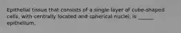 Epithelial tissue that consists of a single layer of cube-shaped cells, with centrally located and spherical nuclei, is ______ epithelium.