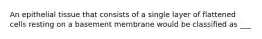 An epithelial tissue that consists of a single layer of flattened cells resting on a basement membrane would be classified as ___