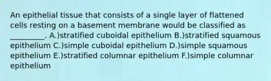 An epithelial tissue that consists of a single layer of flattened cells resting on a basement membrane would be classified as _________. A.)stratified cuboidal epithelium B.)stratified squamous epithelium C.)simple cuboidal epithelium D.)simple squamous epithelium E.)stratified columnar epithelium F.)simple columnar epithelium