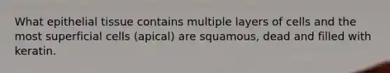 What epithelial tissue contains multiple layers of cells and the most superficial cells (apical) are squamous, dead and filled with keratin.