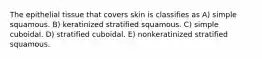 The epithelial tissue that covers skin is classifies as A) simple squamous. B) keratinized stratified squamous. C) simple cuboidal. D) stratified cuboidal. E) nonkeratinized stratified squamous.