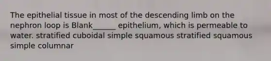 The epithelial tissue in most of the descending limb on the nephron loop is Blank______ epithelium, which is permeable to water. stratified cuboidal simple squamous stratified squamous simple columnar