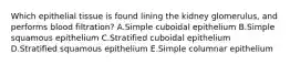 Which epithelial tissue is found lining the kidney glomerulus, and performs blood filtration? A.Simple cuboidal epithelium B.Simple squamous epithelium C.Stratified cuboidal epithelium D.Stratified squamous epithelium E.Simple columnar epithelium