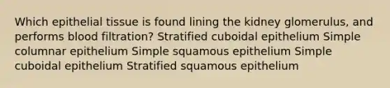Which epithelial tissue is found lining the kidney glomerulus, and performs blood filtration? Stratified cuboidal epithelium Simple columnar epithelium Simple squamous epithelium Simple cuboidal epithelium Stratified squamous epithelium
