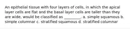 An epithelial tissue with four layers of cells, in which the apical layer cells are flat and the basal layer cells are taller than they are wide, would be classified as _________. a. simple squamous b. simple columnar c. stratified squamous d. stratified columnar