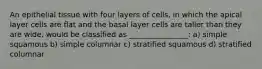 An epithelial tissue with four layers of cells, in which the apical layer cells are flat and the basal layer cells are taller than they are wide, would be classified as ________________: a) simple squamous b) simple columnar c) stratified squamous d) stratified columnar