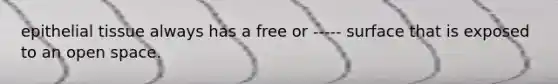 epithelial tissue always has a free or ----- surface that is exposed to an open space.