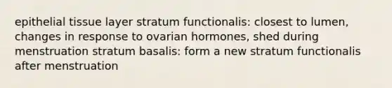 epithelial tissue layer stratum functionalis: closest to lumen, changes in response to ovarian hormones, shed during menstruation stratum basalis: form a new stratum functionalis after menstruation