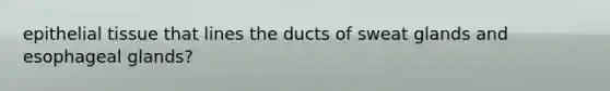 epithelial tissue that lines the ducts of sweat glands and esophageal glands?