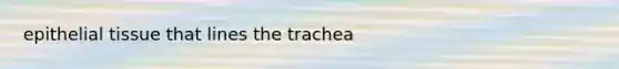 <a href='https://www.questionai.com/knowledge/k7dms5lrVY-epithelial-tissue' class='anchor-knowledge'>epithelial tissue</a> that lines the trachea