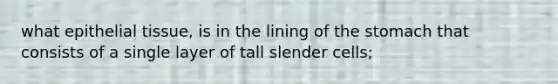 what epithelial tissue, is in the lining of the stomach that consists of a single layer of tall slender cells;