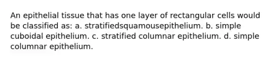 An <a href='https://www.questionai.com/knowledge/k7dms5lrVY-epithelial-tissue' class='anchor-knowledge'>epithelial tissue</a> that has one layer of rectangular cells would be classified as: a. stratifiedsquamousepithelium. b. simple cuboidal epithelium. c. stratified columnar epithelium. d. simple columnar epithelium.