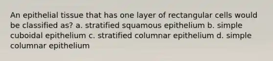 An epithelial tissue that has one layer of rectangular cells would be classified as? a. stratified squamous epithelium b. simple cuboidal epithelium c. stratified columnar epithelium d. simple columnar epithelium