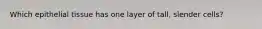 Which epithelial tissue has one layer of tall, slender cells?