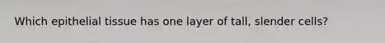 Which epithelial tissue has one layer of tall, slender cells?