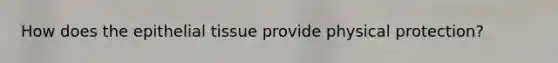 How does the epithelial tissue provide physical protection?