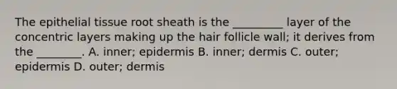 The epithelial tissue root sheath is the _________ layer of the concentric layers making up the hair follicle wall; it derives from the ________. A. inner; epidermis B. inner; dermis C. outer; epidermis D. outer; dermis