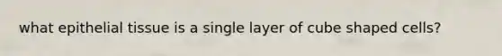 what epithelial tissue is a single layer of cube shaped cells?