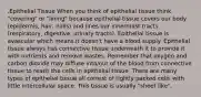 .Epithelial Tissue When you think of epithelial tissue think "covering" or "lining" because epithelial tissue covers our body (epidermis, hair, nails) and lines our innermost tracts (respiratory, digestive, urinary tracts). Epithelial tissue is avascular which means it doesn't have a blood supply. Epithelial tissue always has connective tissue underneath it to provide it with nutrients and remove wastes. Remember that oxygen and carbon dioxide may diffuse into/out of the blood from connective tissue to reach the cells in epithelial tissue. There are many types of epithelial tissue all consist of tightly packed cells with little intercellular space. This tissue is usually "sheet like".