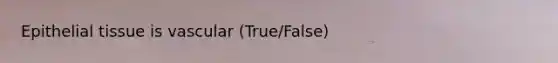 Epithelial tissue is vascular (True/False)