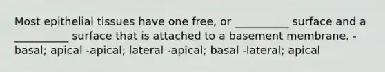 Most epithelial tissues have one free, or __________ surface and a __________ surface that is attached to a basement membrane. -basal; apical -apical; lateral -apical; basal -lateral; apical