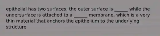 epithelial has two surfaces. the outer surface is ______ while the undersurface is attached to a ______ membrane, which is a very thin material that anchors the epithelium to the underlying structure