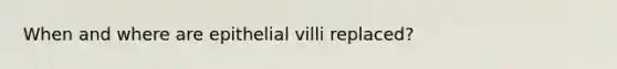 When and where are epithelial villi replaced?