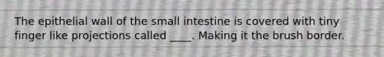 The epithelial wall of the small intestine is covered with tiny finger like projections called ____. Making it the brush border.