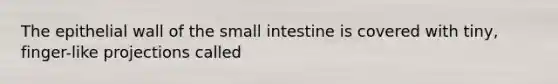 The epithelial wall of the small intestine is covered with tiny, finger-like projections called