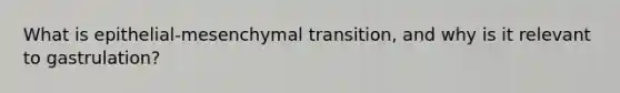 What is epithelial-mesenchymal transition, and why is it relevant to gastrulation?