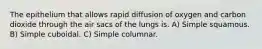 The epithelium that allows rapid diffusion of oxygen and carbon dioxide through the air sacs of the lungs is. A) Simple squamous. B) Simple cuboidal. C) Simple columnar.