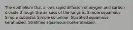 The epithelium that allows rapid diffusion of oxygen and carbon dioxide through the air sacs of the lungs is. Simple squamous. Simple cuboidal. Simple columnar. Stratified squamous-keratinized. Stratified squamous-nonkeratinized.