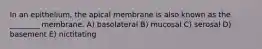 In an epithelium, the apical membrane is also known as the ________ membrane. A) basolateral B) mucosal C) serosal D) basement E) nictitating