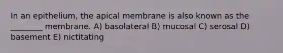 In an epithelium, the apical membrane is also known as the ________ membrane. A) basolateral B) mucosal C) serosal D) basement E) nictitating