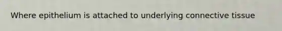Where epithelium is attached to underlying <a href='https://www.questionai.com/knowledge/kYDr0DHyc8-connective-tissue' class='anchor-knowledge'>connective tissue</a>