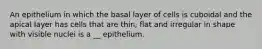 An epithelium in which the basal layer of cells is cuboidal and the apical layer has cells that are thin, flat and irregular in shape with visible nuclei is a __ epithelium.