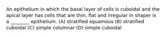 An epithelium in which the basal layer of cells is cuboidal and the apical layer has cells that are thin, flat and irregular in shaper is a ________ epithelium. (A) stratified squamous (B) stratified cuboidal (C) simple columnar (D) simple cuboidal