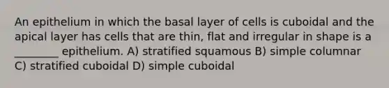 An epithelium in which the basal layer of cells is cuboidal and the apical layer has cells that are thin, flat and irregular in shape is a ________ epithelium. A) stratified squamous B) simple columnar C) stratified cuboidal D) simple cuboidal