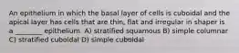 An epithelium in which the basal layer of cells is cuboidal and the apical layer has cells that are thin, flat and irregular in shaper is a ________ epithelium. A) stratified squamous B) simple columnar C) stratified cuboidal D) simple cuboidal