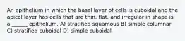 An epithelium in which the basal layer of cells is cuboidal and the apical layer has cells that are thin, flat, and irregular in shape is a ______ epithelium. A) stratified squamous B) simple columnar C) stratified cuboidal D) simple cuboidal