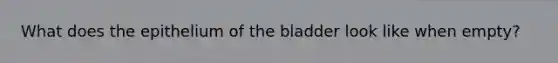 What does the epithelium of the bladder look like when empty?