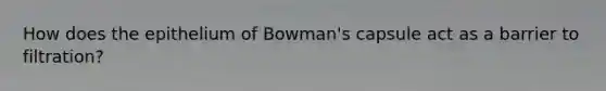 How does the epithelium of Bowman's capsule act as a barrier to filtration?