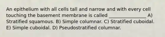 An epithelium with all cells tall and narrow and with every cell touching the basement membrane is called ________________ A) Stratified squamous. B) Simple columnar. C) Stratified cuboidal. E) Simple cuboidal. D) Pseudostratified columnar.