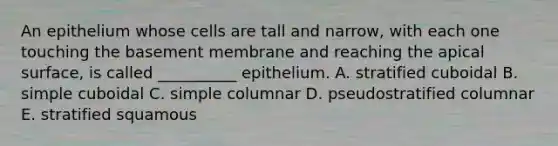 An epithelium whose cells are tall and narrow, with each one touching the basement membrane and reaching the apical surface, is called __________ epithelium. A. stratified cuboidal B. simple cuboidal C. simple columnar D. pseudostratified columnar E. stratified squamous