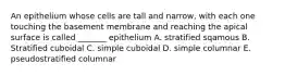 An epithelium whose cells are tall and narrow, with each one touching the basement membrane and reaching the apical surface is called _______ epithelium A. stratified sqamous B. Stratified cuboidal C. simple cuboidal D. simple columnar E. pseudostratified columnar