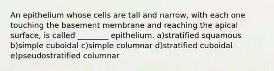 An epithelium whose cells are tall and narrow, with each one touching the basement membrane and reaching the apical surface, is called ________ epithelium. a)stratified squamous b)simple cuboidal c)simple columnar d)stratified cuboidal e)pseudostratified columnar