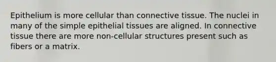 Epithelium is more cellular than connective tissue. The nuclei in many of the simple epithelial tissues are aligned. In connective tissue there are more non-cellular structures present such as fibers or a matrix.