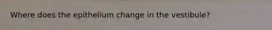 Where does the epithelium change in the vestibule?