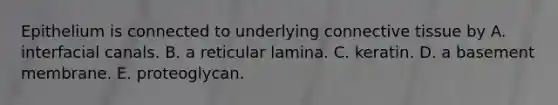 Epithelium is connected to underlying connective tissue by A. interfacial canals. B. a reticular lamina. C. keratin. D. a basement membrane. E. proteoglycan.